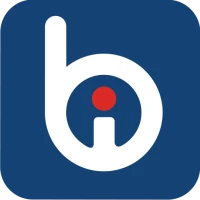 Bina Digital dari Bank INA