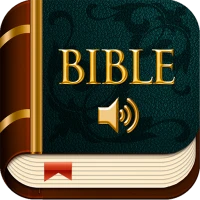 KJV Audio Bible offline