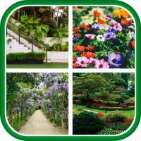 Modern Garden Design Ideas